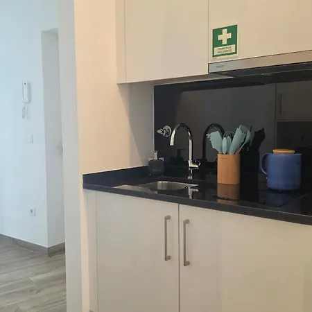 A Proa Do Moliceiro - Iconik Design Appartamento Aveiro